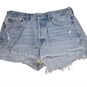 Agolde Parker Vintage Cut Off Short 29
